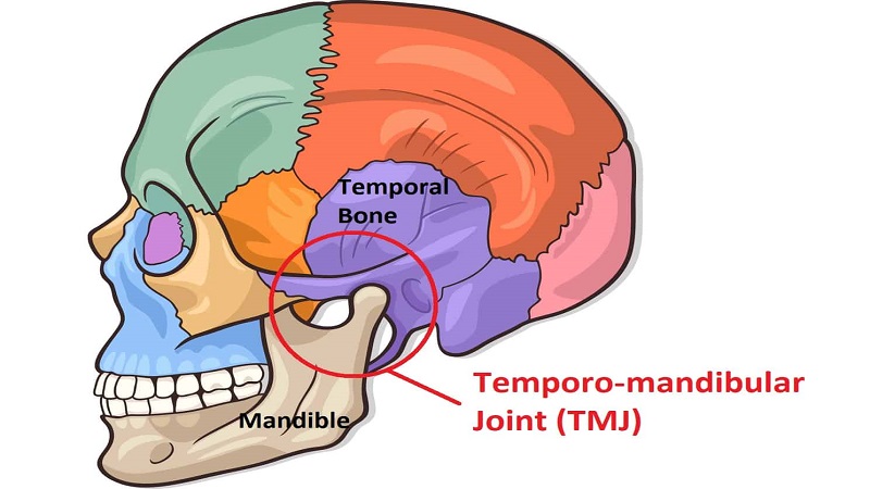 مفصل گیجگاهی فکی TMJ | لیزر دندانپزشکی اصفهان - طرح لبخند اصفهان | دکتر حسین برجیان